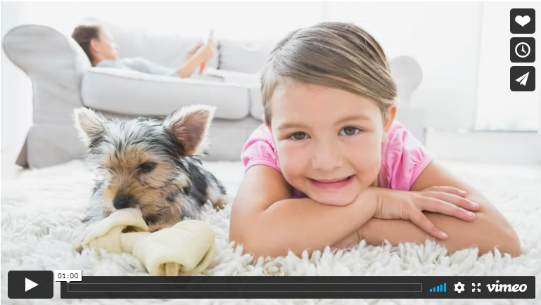 Chem-Dry of Lehigh Valley Services